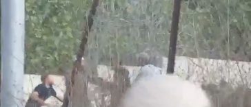 Patru palestinieni ucişi şi patru răniţi de către armata israeliană, la Tel, în nordul Cisiordaniei, într-o ciocnire, soldată cu un mort şi doi răniţi israelieni. Netnyahu ameninţă cu o ”ripostă la atentatul ucigaş”