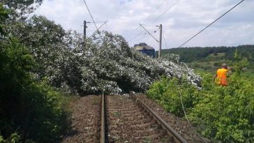 Circulaţia feroviară, întreruptă în mai multe zone ale ţării din cauza furtunilor/ Peste 20 de trenuri, afectate