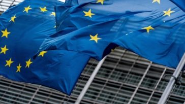 CE a publicat noi orientări pentru site-urile Natura 2000, în încercarea de a găsi un echilibru între activităţile economice şi menţinerea obiectivelor de conservare a mediului / Refacerea populaţiei de zimbri din România, între bunele exemple