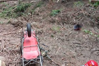 Neamţ: Un bărbat de 30 de ani a murit după ce un copac a căzut peste el
