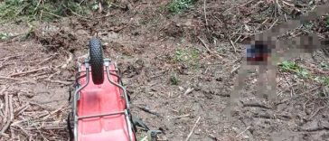 Neamţ: Un bărbat de 30 de ani a murit după ce un copac a căzut peste el