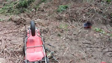 Neamţ: Un bărbat de 30 de ani a murit după ce un copac a căzut peste el
