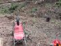 Neamţ: Un bărbat de 30 de ani a murit după ce un copac a căzut peste el