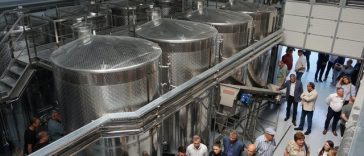 O cramă folosită pentru pregătirea studenţilor, dar şi pentru producţia proprie de vin, a fost inaugurată de Universitatea de Ştiinţele Vieţii din Iaşi / Investiţia depăşeşte 25 de milioane de lei