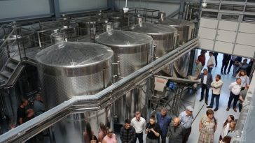 O cramă folosită pentru pregătirea studenţilor, dar şi pentru producţia proprie de vin, a fost inaugurată de Universitatea de Ştiinţele Vieţii din Iaşi / Investiţia depăşeşte 25 de milioane de lei