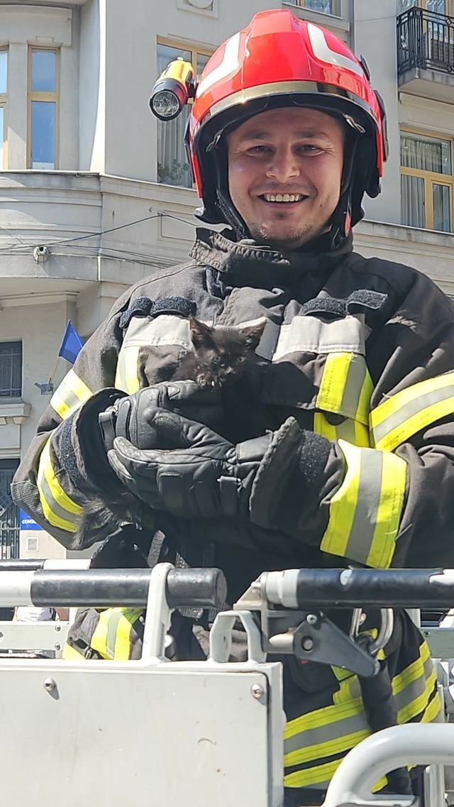 Pompierii au salvat o pisică rămasă blocată pe acoperişul Prefecturii Dolj – FOTO
