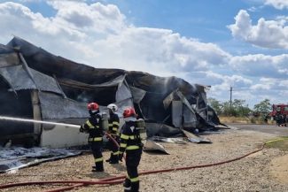 Incendiu la hala unei fabrici de mobilă din Livada de Bihor – FOTO
