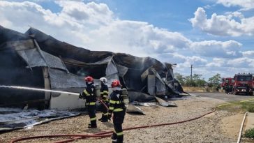 Incendiu la hala unei fabrici de mobilă din Livada de Bihor – FOTO