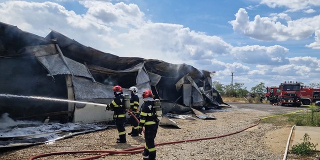 Incendiu la hala unei fabrici de mobilă din Livada de Bihor – FOTO
