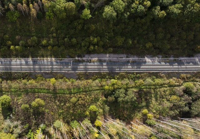 Asocierea condusă de Siemens Mobility a câştigat treci cintracte cu CFR Infrastructură, în valoare de 308 milioane euro, pentru modernizarea infrastructurii de semnalizare feroviară din România