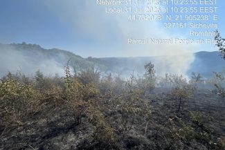 Incendii de vegetaţie pe o suprafaţă de aproximativ 30 de hectare în Caraş-Severin / A fost solicitat un elicopter de la Inspectoratul General al Aviaţiei