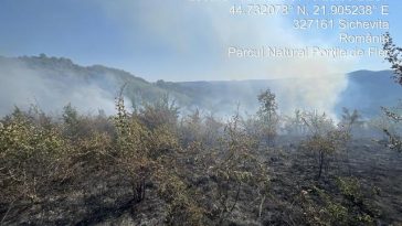 Incendii de vegetaţie pe o suprafaţă de aproximativ 30 de hectare în Caraş-Severin / A fost solicitat un elicopter de la Inspectoratul General al Aviaţiei