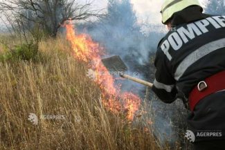 Caraș-Severin: Pompierii se luptă pe două fronturi cu incendiul de vegetație din Berzasca și Sichevița