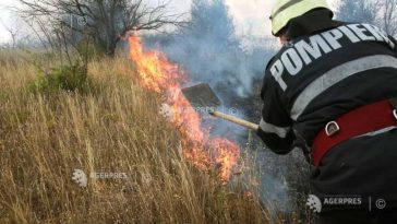 Caraș-Severin: Pompierii se luptă pe două fronturi cu incendiul de vegetație din Berzasca și Sichevița