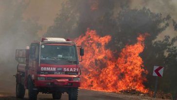 Majoritatea incendiilor de vegetație din Turcia sunt în prezent controlate, după eforturi de câteva zile