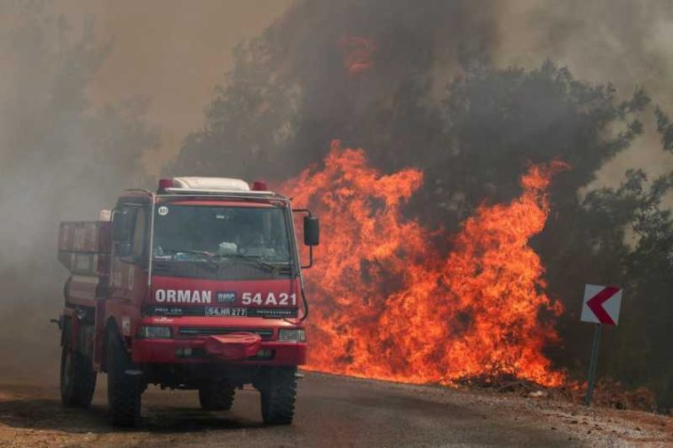 Majoritatea incendiilor de vegetație din Turcia sunt în prezent controlate, după eforturi de câteva zile