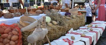 REPORTAJ Cartoful – sărbătorit de peste două decenii la Zilele Municipiului Miercurea-Ciuc (GALERIE FOTO)