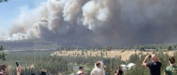 VIDEO SUA/incendii de vegetație: Case arse și evacuări în masă în statul Washington