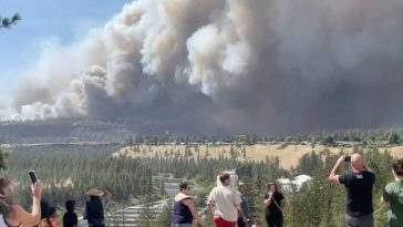 VIDEO SUA/incendii de vegetație: Case arse și evacuări în masă în statul Washington