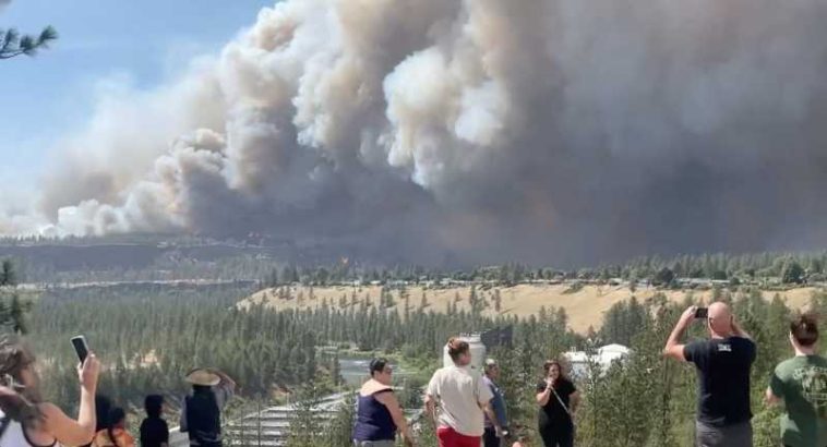 VIDEO SUA/incendii de vegetație: Case arse și evacuări în masă în statul Washington
