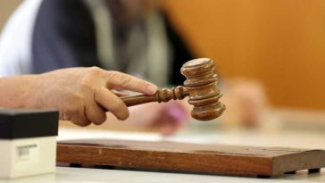 Tribunalul UE respinge cererea de suspendare a deciziei privind ridicarea parțială a imunității Dianei Șoșoacă
