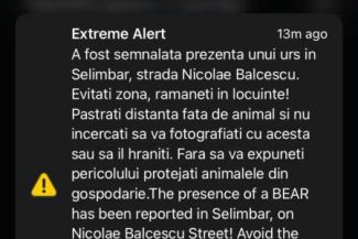 Sibiu: Urs semnalat în comuna Șelimbăr de lângă municipiul reședință; a fost emis mesaj RO-ALERT