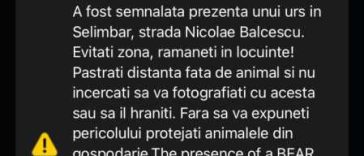 Sibiu: Urs semnalat în comuna Șelimbăr de lângă municipiul reședință; a fost emis mesaj RO-ALERT