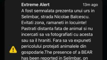 Sibiu: Urs semnalat în comuna Șelimbăr de lângă municipiul reședință; a fost emis mesaj RO-ALERT