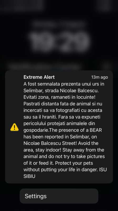 Sibiu: Urs semnalat în comuna Șelimbăr de lângă municipiul reședință; a fost emis mesaj RO-ALERT
