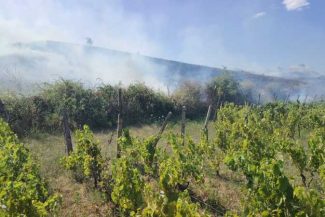 Buzău: Pompierii intervin pentru stingerea unui incendiu extins pe 20 de hectare; a fost emis mesaj RO-ALERT