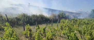 Buzău: Pompierii intervin pentru stingerea unui incendiu extins pe 20 de hectare; a fost emis mesaj RO-ALERT