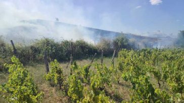Buzău: Pompierii intervin pentru stingerea unui incendiu extins pe 20 de hectare; a fost emis mesaj RO-ALERT