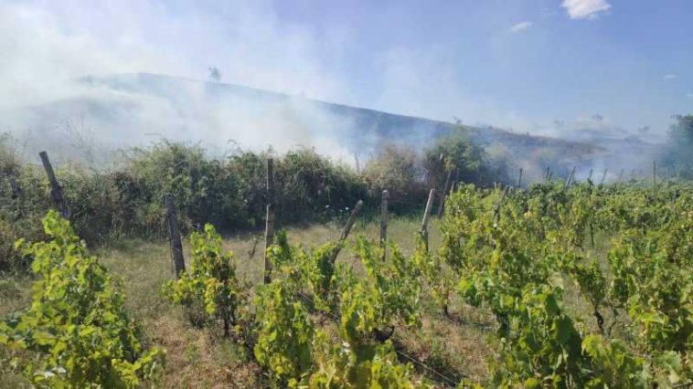 Buzău: Pompierii intervin pentru stingerea unui incendiu extins pe 20 de hectare; a fost emis mesaj RO-ALERT