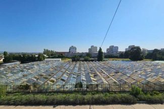 Buzău: Stațiunea Legumicolă face un apel inedit pentru donații de geamuri vechi, în urma pagubelor produse de furtuni