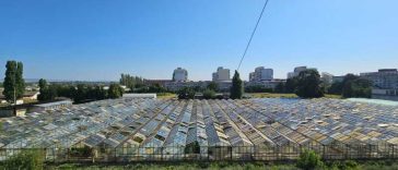 Buzău: Stațiunea Legumicolă face un apel inedit pentru donații de geamuri vechi, în urma pagubelor produse de furtuni