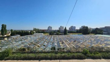 Buzău: Stațiunea Legumicolă face un apel inedit pentru donații de geamuri vechi, în urma pagubelor produse de furtuni