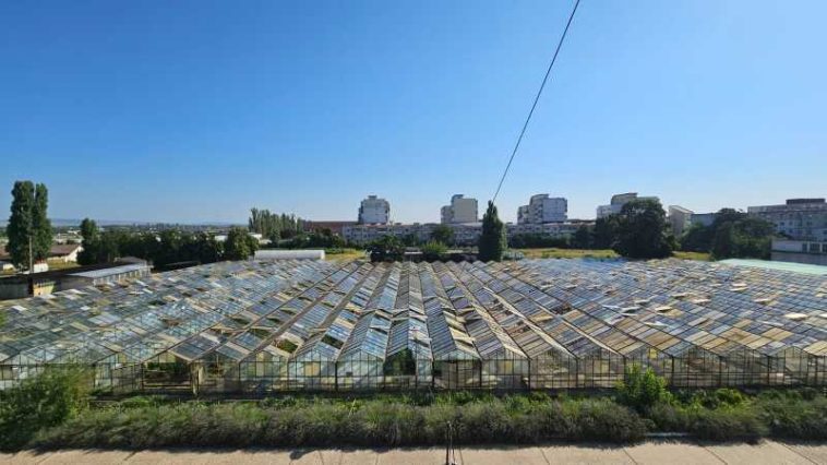 Buzău: Stațiunea Legumicolă face un apel inedit pentru donații de geamuri vechi, în urma pagubelor produse de furtuni
