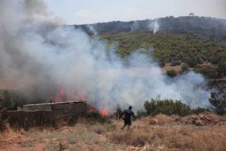 Incendii în apropiere de Atena / Autoritățile și locuitorii evaluează amploarea pagubelor
