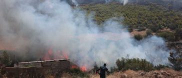 Incendii în apropiere de Atena / Autoritățile și locuitorii evaluează amploarea pagubelor