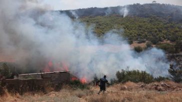 Incendii în apropiere de Atena / Autoritățile și locuitorii evaluează amploarea pagubelor