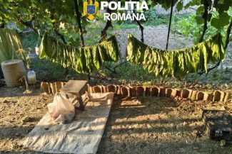 Tulcea: Aproape cinci tone de tutun, indisponibilizate de polițiști