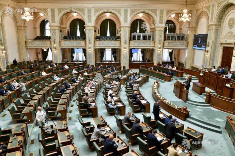 Senat/ Proiectul legislativ privind integritatea – adoptat de plen