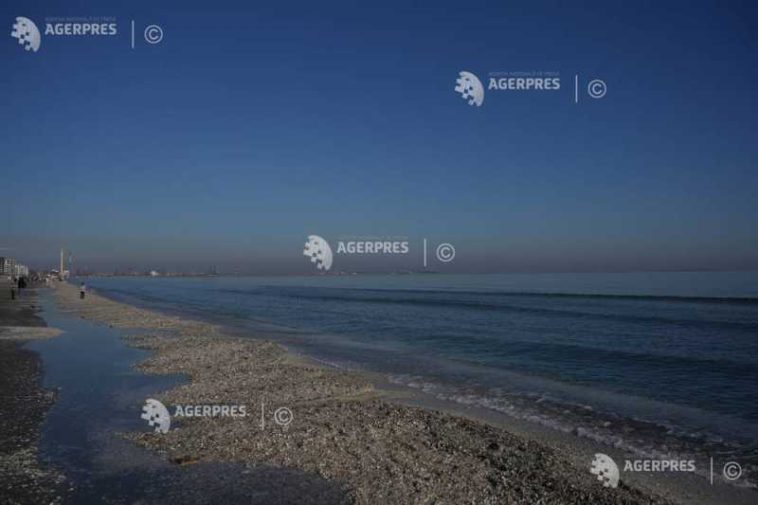 Constanța: Rămășițele unei drone, fără elemente pirotehnice, găsite în apa mării pe o plajă la Mamaia