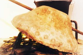 Dolj: Consiliul Județean a lansat demersul pentru includerea culturii țestului din Oltenia în patrimoniul UNESCO