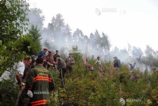 Caraș-Severin: Incendiul de fond forestier și vegetație uscată din zona Lindenfeld a fost lichidat