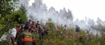 Caraș-Severin: Incendiul de fond forestier și vegetație uscată din zona Lindenfeld a fost lichidat