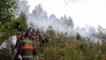 Caraș-Severin: Incendiul de fond forestier și vegetație uscată din zona Lindenfeld a fost lichidat