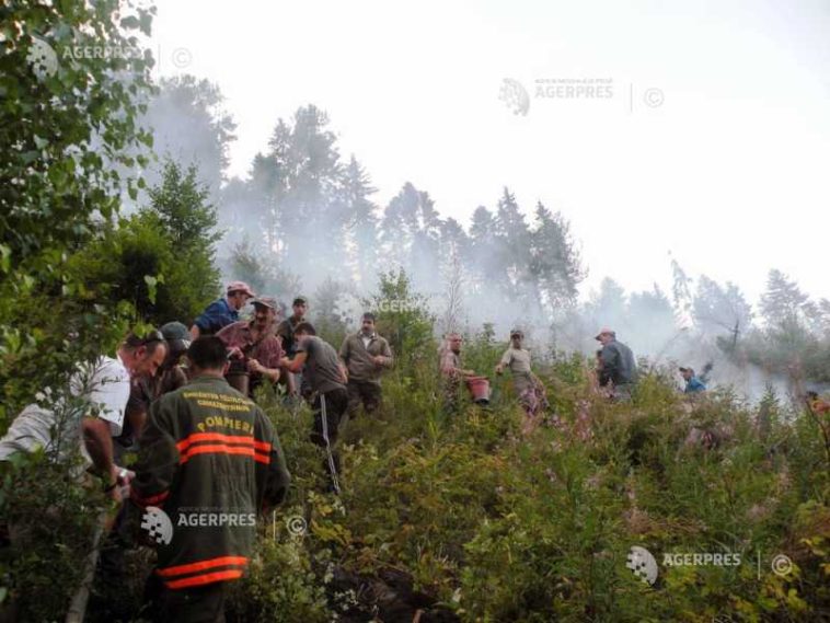 Caraș-Severin: Incendiul de fond forestier și vegetație uscată din zona Lindenfeld a fost lichidat