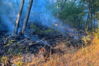Hunedoara: Incendii de vegetație uscată în mai multe zone ale județului; peste 60 de hectare, afectate