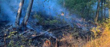 Hunedoara: Incendii de vegetație uscată în mai multe zone ale județului; peste 60 de hectare, afectate